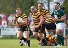 Cornwall-19 : 2013, Cornwal, Hertfordshire, RFU