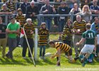 Cornwall-22 : 2013, Cornwal, Hertfordshire, RFU