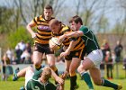 Cornwall-27 : 2013, Cornwal, Hertfordshire, RFU