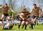 Cornwall-28 : 2013, Cornwal, Hertfordshire, RFU