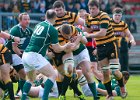 Cornwall-33 : 2013, Cornwal, Hertfordshire, RFU