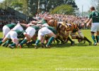 Cornwall-35 : 2013, Cornwal, Hertfordshire, RFU