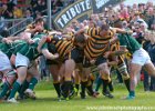 Cornwall-39 : 2013, Cornwal, Hertfordshire, RFU