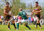 Cornwall-4 : 2013, Cornwal, Hertfordshire, RFU