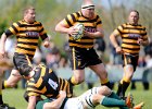 Cornwall v Hertfordshire 180513 : 18/05/13, County Championship, Hertfordshire, Bill Beaumont Cup, South, CRFU, Camborne Recreation Ground, Rugby Union, Cornwall, England