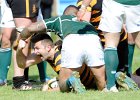 Cornwall v Hertfordshire 180513 : 18/05/13, County Championship, Hertfordshire, Bill Beaumont Cup, South, CRFU, Camborne Recreation Ground, Rugby Union, Cornwall, England