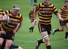 IMG 4706