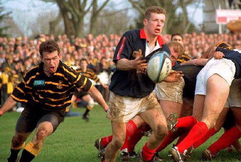 Scrum halves